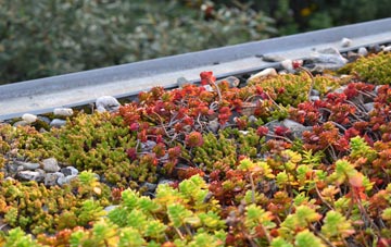 the cost of Barnham Broom green roof installation