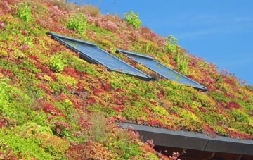 Barnham Broom living roof systems