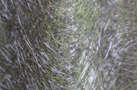 Barnham Broom fibreglass roof work